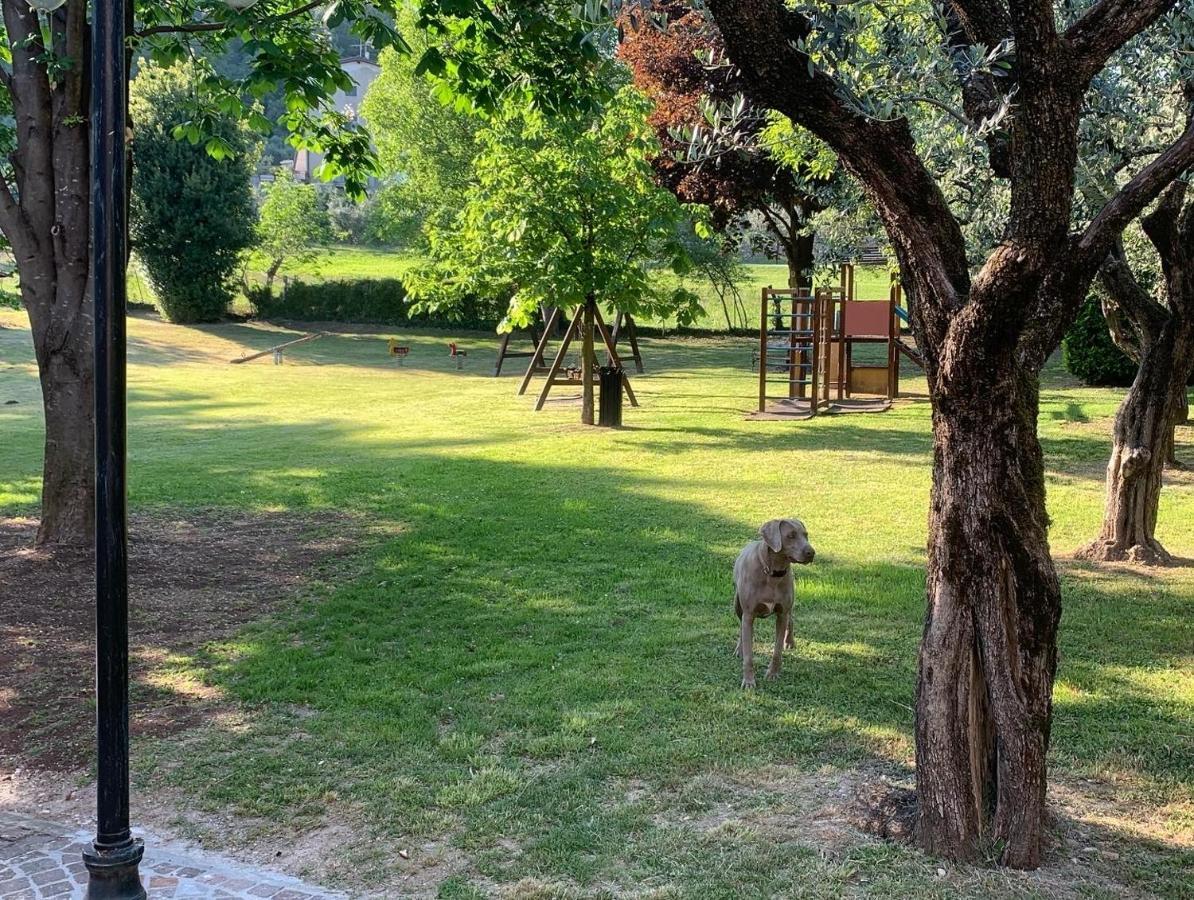 Rustico Di Benellini Angela Bed and breakfast *
